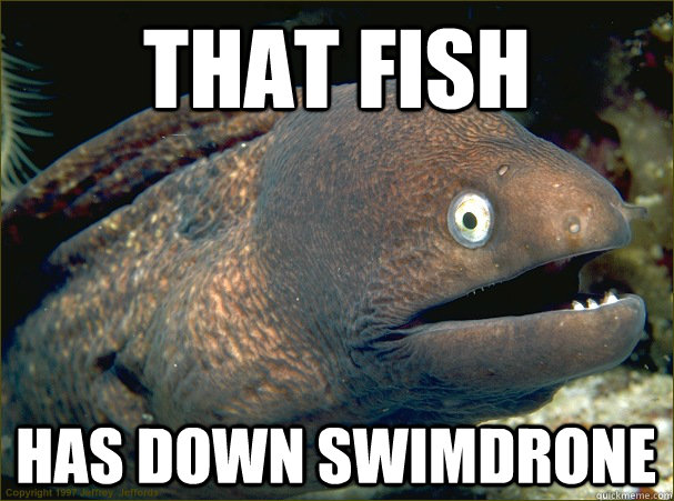 that fish has down swimdrone  Bad Joke Eel