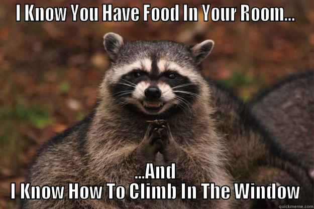 Be Seeing You Soon... - I KNOW YOU HAVE FOOD IN YOUR ROOM... ...AND I KNOW HOW TO CLIMB IN THE WINDOW Evil Plotting Raccoon