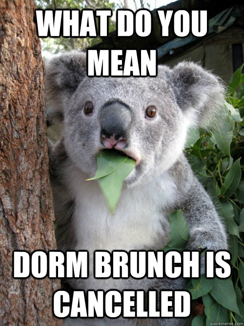 what do you mean dorm brunch is cancelled  Surprised Koala