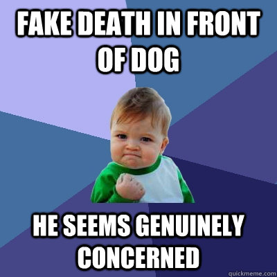 Fake death in front of dog He seems genuinely concerned  Success Kid