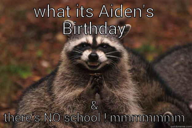 WHAT ITS AIDEN'S BIRTHDAY & THERE'S NO SCHOOL ! HMMMMMM Evil Plotting Raccoon