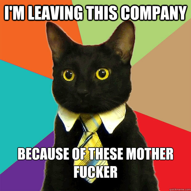 I'm leaving this company because of these mother fucker  Business Cat