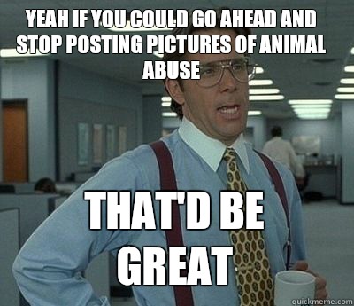 Yeah if you could go ahead and stop posting pictures of animal abuse  That'd be great - Yeah if you could go ahead and stop posting pictures of animal abuse  That'd be great  Bill Lumbergh