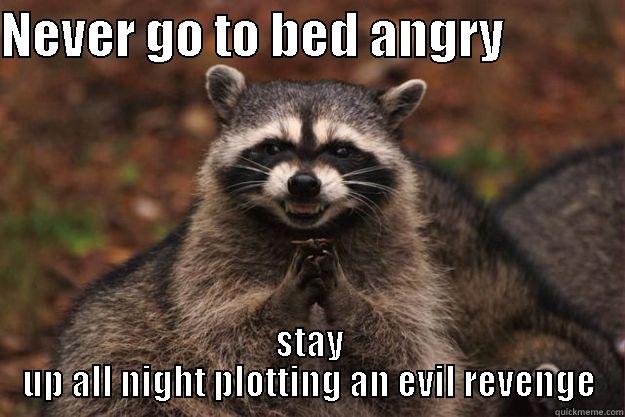 Racoons be like - NEVER GO TO BED ANGRY             STAY UP ALL NIGHT PLOTTING AN EVIL REVENGE Evil Plotting Raccoon