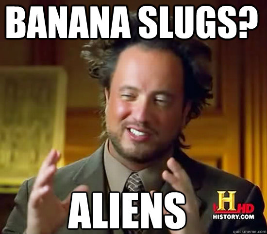 banana slugs?  Aliens  Ancient Aliens