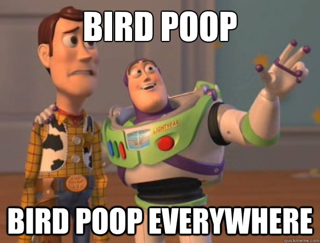 Bird poop bird poop everywhere  Buzz Lightyear