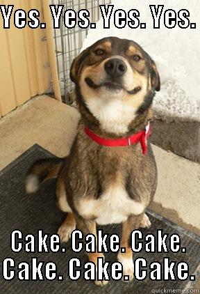 YES. YES. YES. YES.  CAKE. CAKE. CAKE. CAKE. CAKE. CAKE. Good Dog Greg