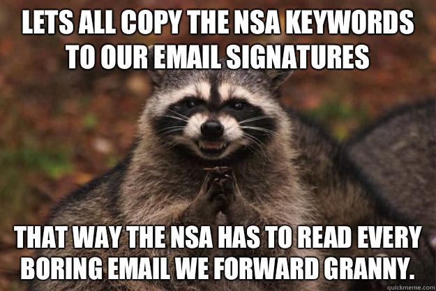 Lets all copy the NSA keywords to our email signatures That way the NSA has to read every boring email we forward granny.  Evil Plotting Raccoon