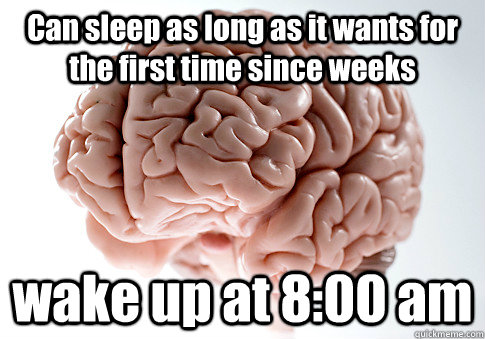 Can sleep as long as it wants for the first time since weeks wake up at 8:00 am  Scumbag Brain