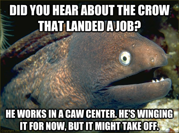 Did you hear about the crow that landed a job? He works in a caw center. He's winging it for now, but it might take off. - Did you hear about the crow that landed a job? He works in a caw center. He's winging it for now, but it might take off.  Bad Joke Eel