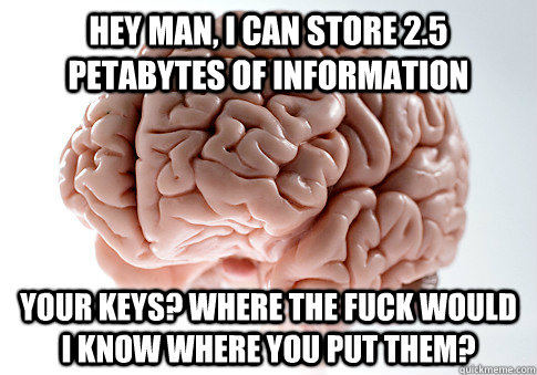 hey man, i can store 2.5 petabytes of information your keys? where the fuck would i know where you put them?  Scumbag Brain