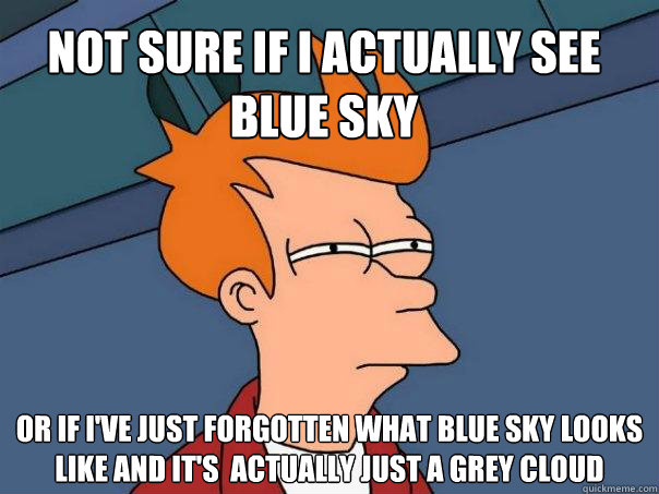 Not sure if i actUALLy see blue Sky  or if i've just forgotten what blue sky looks like and it's  actually just a grey cloud - Not sure if i actUALLy see blue Sky  or if i've just forgotten what blue sky looks like and it's  actually just a grey cloud  Futurama Fry