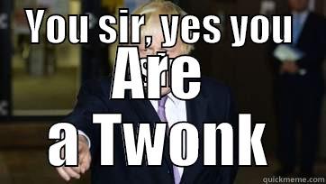 YOU SIR, YES YOU SIR ARE A TWONK Misc