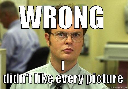 WRONG I DIDN'T LIKE EVERY PICTURE Schrute