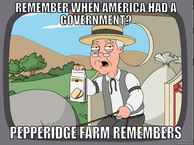 REMEMBER WHEN AMERICA HAD A GOVERNMENT? PEPPERIDGE FARM REMEMBERS Pepperidge Farm Remembers