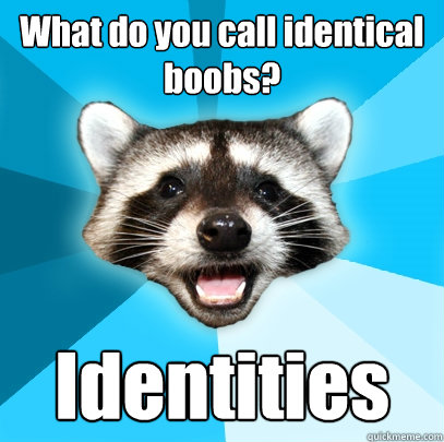 What do you call identical boobs? Identities - What do you call identical boobs? Identities  Lame Pun Coon