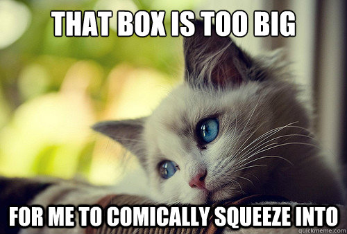 That box is too big for me to comically squeeze into  First World Problems Cat