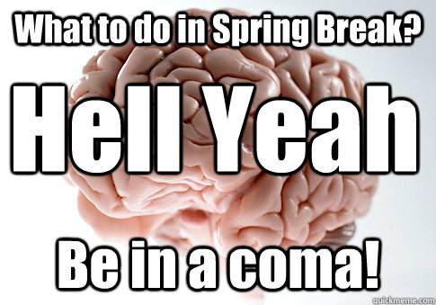 What to do in Spring Break? Be in a coma! Hell Yeah  Scumbag Brain