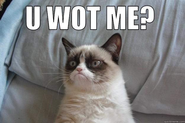 U W0t M3? - U WOT ME?  Grumpy Cat