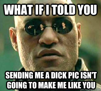 What if I told you sending me a dick pic isn't going to make me like you  What if I told you