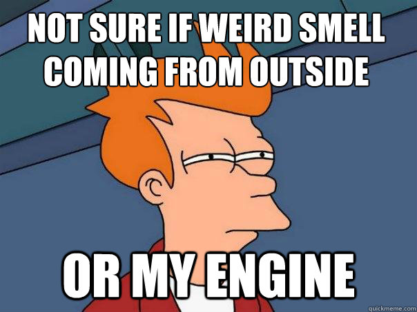 Not sure if weird smell coming from outside or my engine  - Not sure if weird smell coming from outside or my engine   Futurama Fry