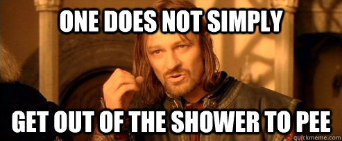 One does not simply Get out of the shower to pee  One Does Not Simply