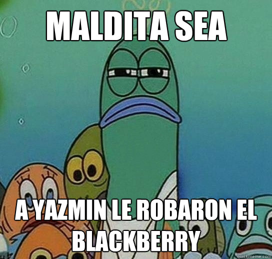 maldita sea a yazmin le robaron el blackberry  Serious fish SpongeBob