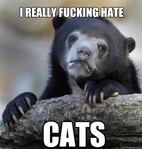 I Really Fucking Hate CATS  Confession Bear