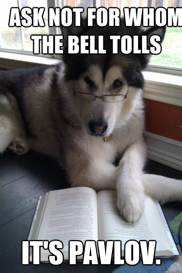 Ask not for whom the bell tolls It's Pavlov.  Condescending Literary Pun Dog