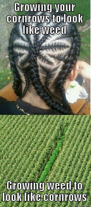 GROWING YOUR CORNROWS TO LOOK LIKE WEED GROWING WEED TO LOOK LIKE CORNROWS Misc