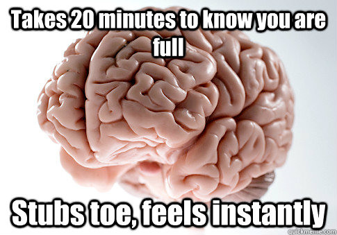 Takes 20 minutes to know you are full Stubs toe, feels instantly  Scumbag Brain