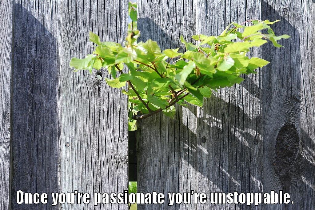  ONCE YOU’RE PASSIONATE YOU’RE UNSTOPPABLE.  Misc