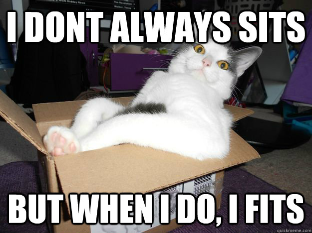 i dont always sits but when i do, i fits - i dont always sits but when i do, i fits  Misc