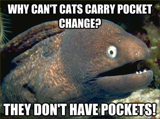 Why can't cats carry pocket change? They don't have pockets! - Why can't cats carry pocket change? They don't have pockets!  Bad Joke Eel