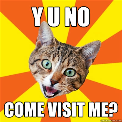 Y U No Come Visit Me?  Bad Advice Cat