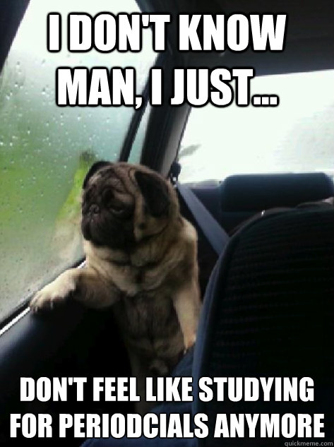 I don't know man, I just... don't feel like studying for periodcials anymore  Introspective Pug