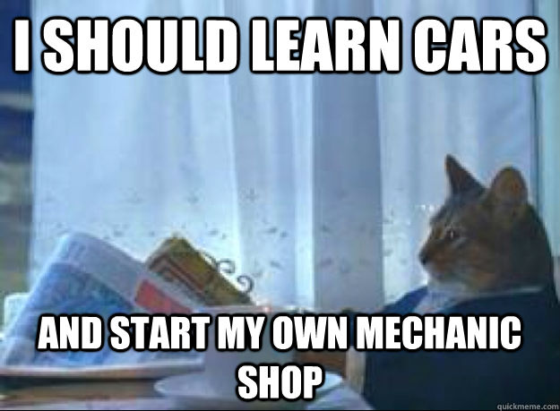 I should learn cars and start my own mechanic shop  I should buy a boat cat