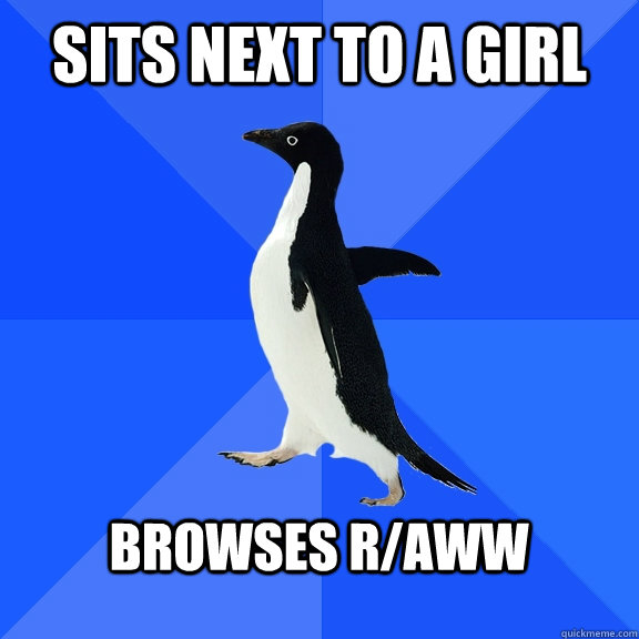 sits next to a girl  Browses r/aww  - sits next to a girl  Browses r/aww   Socially Awkward Penguin