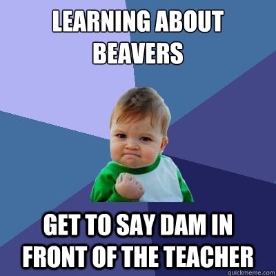 LEarning about beavers Get to say dam in front of the teacher - LEarning about beavers Get to say dam in front of the teacher  Success Kid