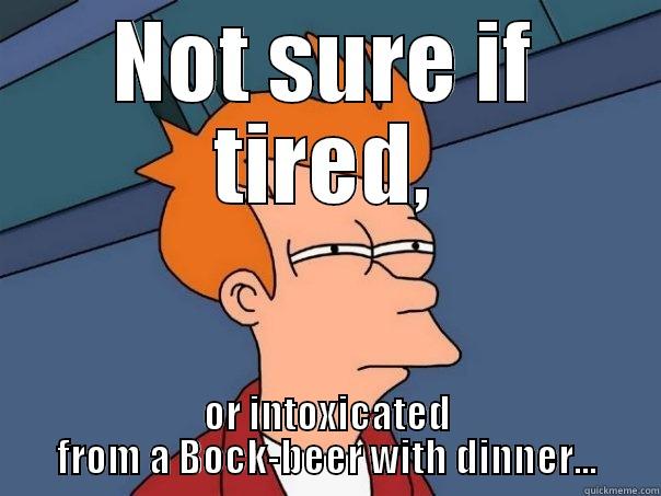 Have. To. Work. Tonight! - NOT SURE IF TIRED, OR INTOXICATED FROM A BOCK-BEER WITH DINNER... Futurama Fry