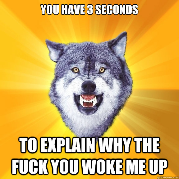 you have 3 seconds to explain why the fuck you woke me up - you have 3 seconds to explain why the fuck you woke me up  Courage Wolf