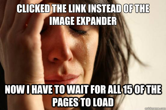 Clicked the link instead of the image expander Now I have to wait for all 15 of the pages to load  First World Problems