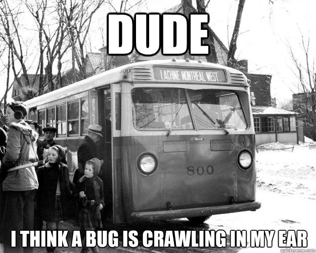 Dude I think a bug is crawling in my ear - Dude I think a bug is crawling in my ear  Shocked Bus