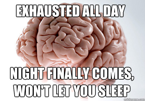 exhausted all day night finally comes,
won't let you sleep  Scumbag Brain