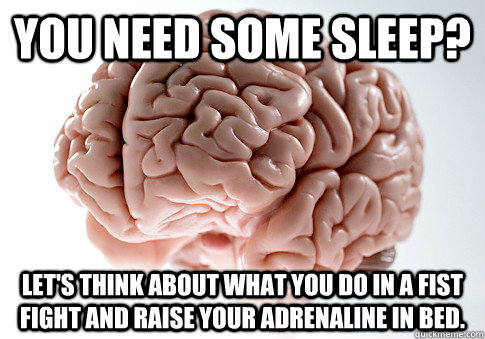 You need some sleep? Let's think about what you do in a fist fight and raise your adrenaline in bed.  Scumbag Brain