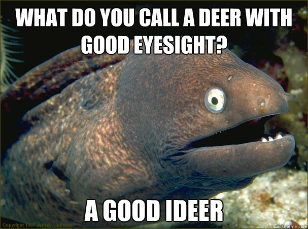 What do you call a deer with good eyesight? A good ideer  Bad Joke Eel