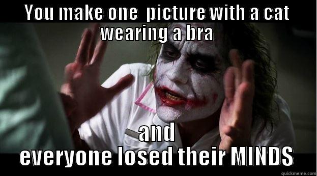 YOU MAKE ONE  PICTURE WITH A CAT WEARING A BRA AND EVERYONE LOSED THEIR MINDS Joker Mind Loss