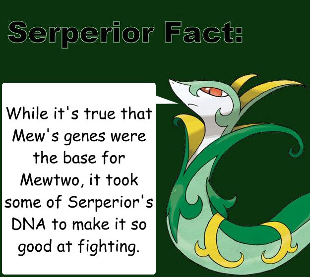 While it's true that Mew's genes were the base for Mewtwo, it took some of Serperior's DNA to make it so good at fighting. - While it's true that Mew's genes were the base for Mewtwo, it took some of Serperior's DNA to make it so good at fighting.  Serperior Facts