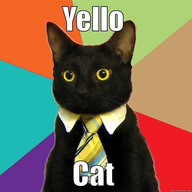 YELLO CAT Business Cat