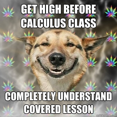 get high before calculus class completely understand covered lesson  Stoner Dog